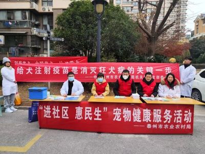 市農業農村局組織開展犬防進社區服務活動 提升居民養犬安全意識