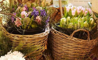 從街頭到世界 93年女孩的另類賣花路，年入400萬，生意遍及40國