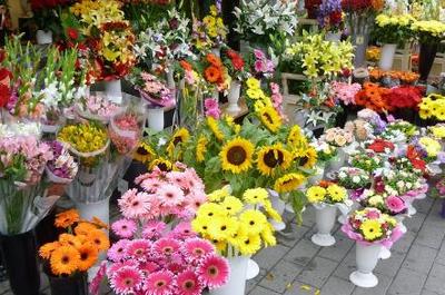 2018-2019年適合創(chuàng)業(yè)的20個(gè)好項(xiàng)目推薦 禮品花卉銷(xiāo)售引領(lǐng)潮流，年青人抓住機(jī)遇！