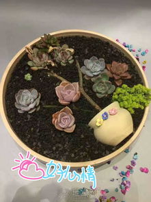 DIY分類(lèi)指南與禮品花卉銷(xiāo)售策略